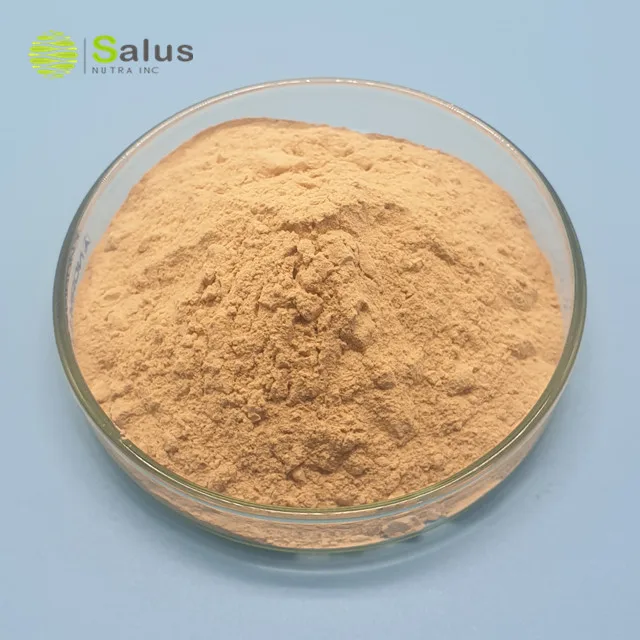 Factory Wholesale Additives Probiotics Powder Bacillus Coagulans