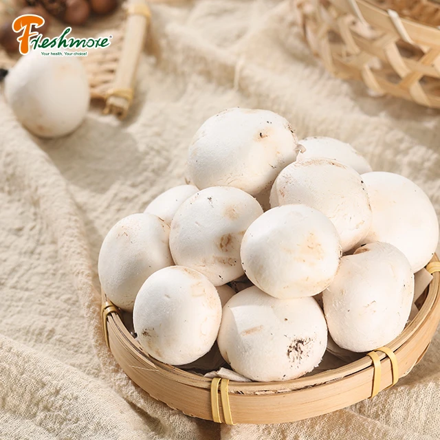 Finc grow spaw  agriculture mushroom fresh cottage white mushroom