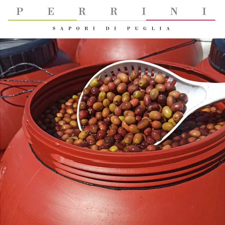 
 Органические маринованные Черные Оливки без косточек, оливки «Leccino» или Ривьера в барабане, в рассоле  