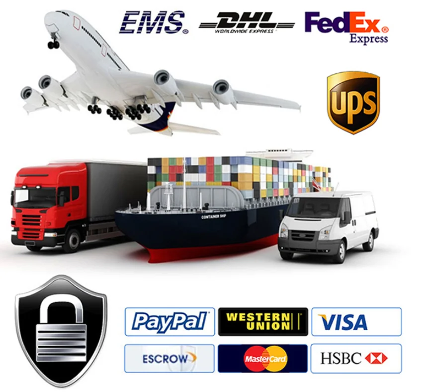 Factory cheap price portable oil free silent air compressor ZD6002-50L for sale