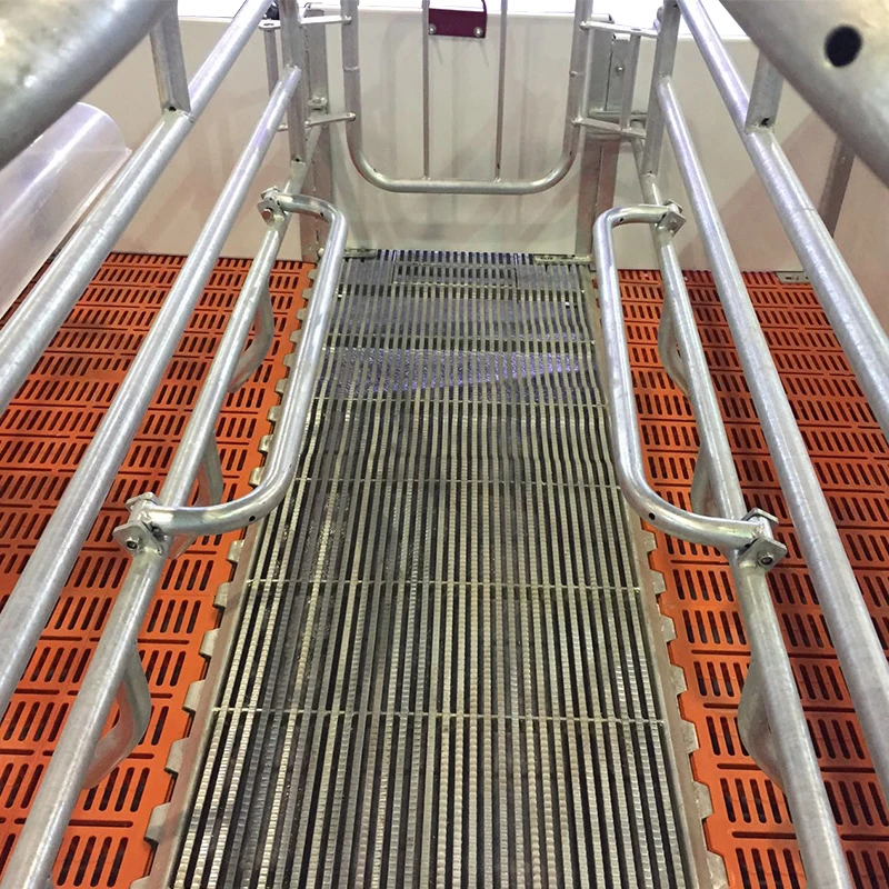 Selling best farm equipment in China plastic slat floor Can withstand 300 kg