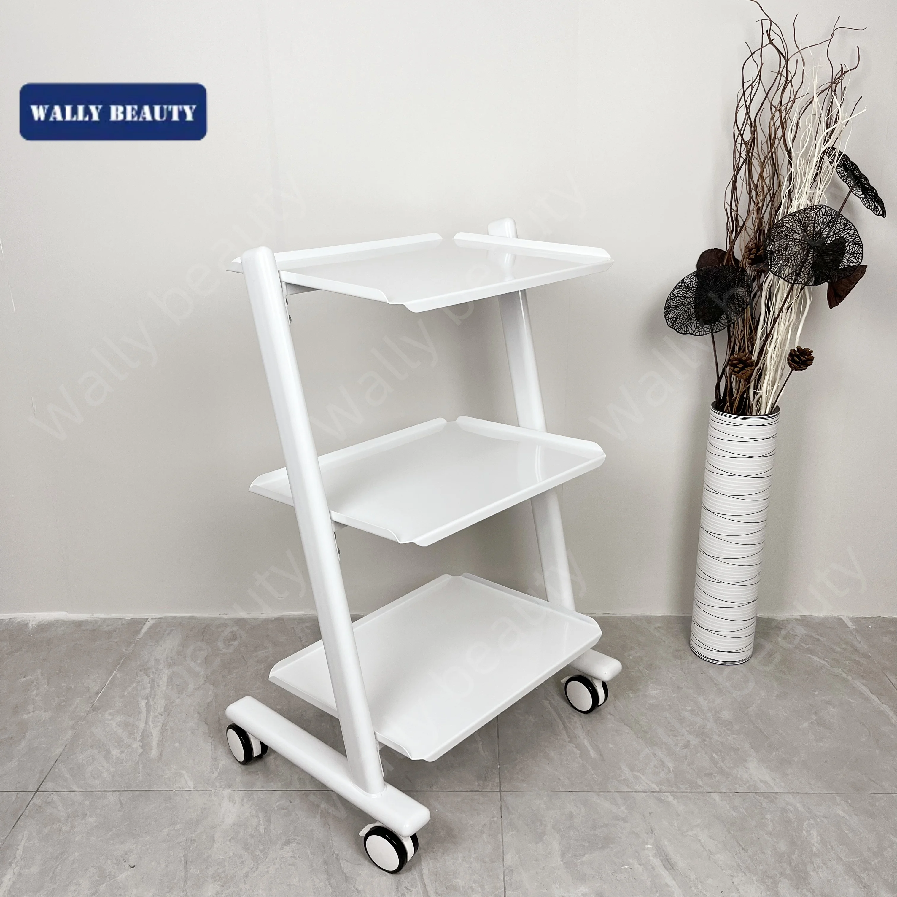 Wally Beauty Mobile Hairdressing Trolley Heavy Duty Beauty Trolley Hair Salon Equipment Trolley For Sale