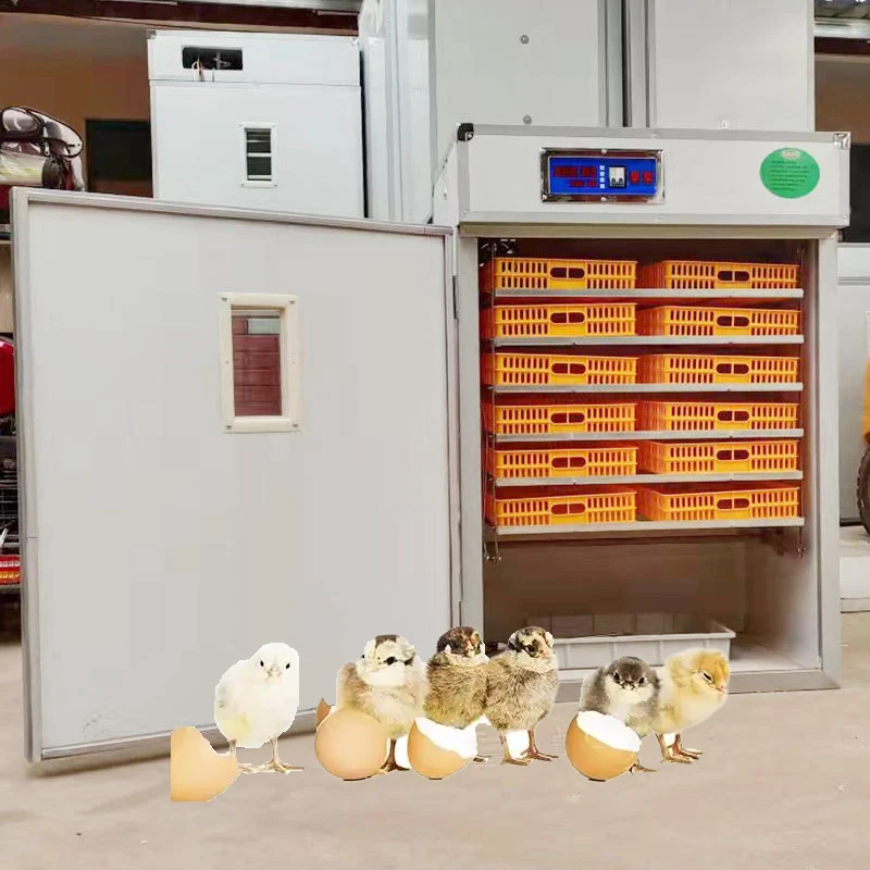 Full Automatic 528 Eggs Mini Poultry Chicken Hatching Machine Incubadoras Egg Incubator for sale