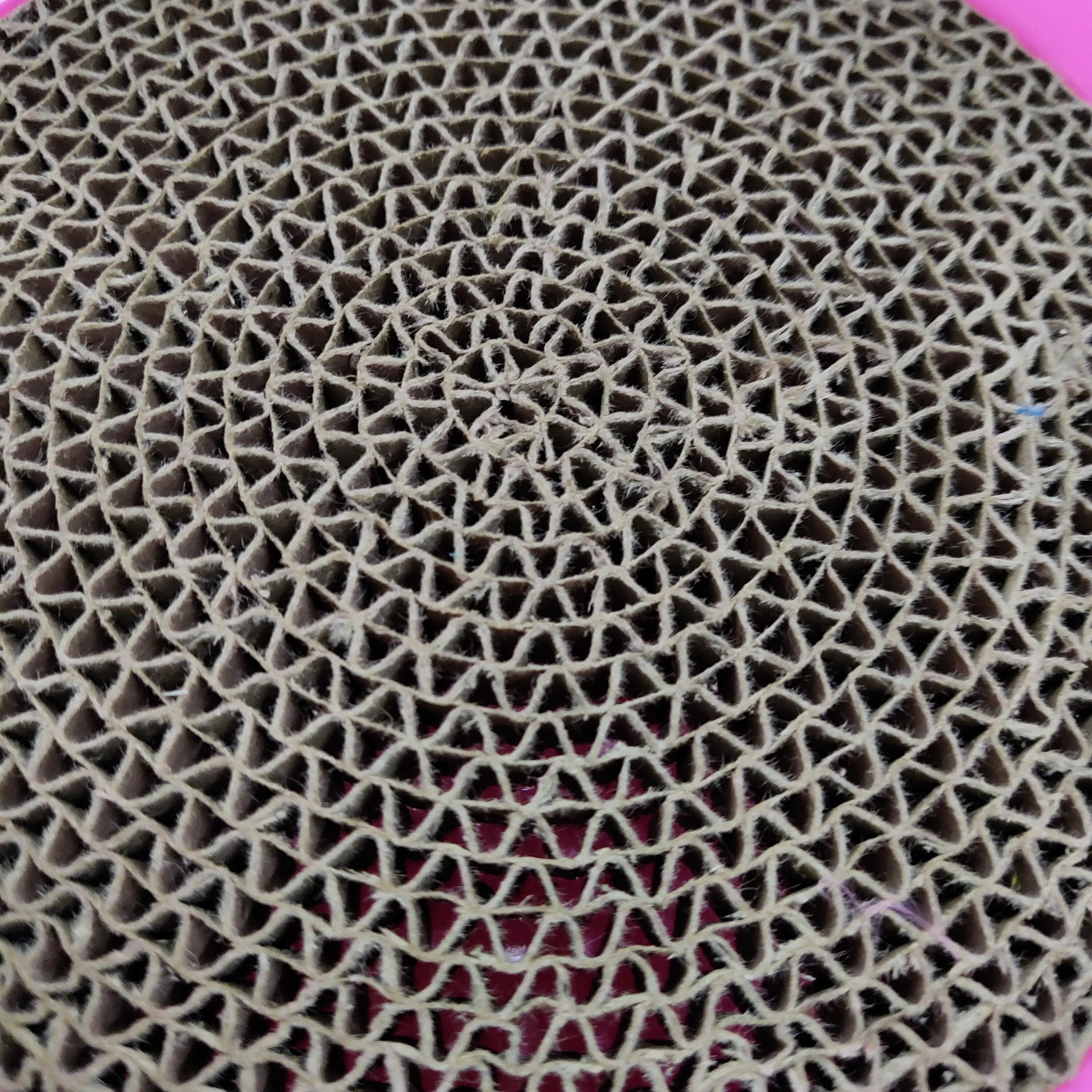 Interactive Plastic Turntable Cat Scratcher Cat Toy