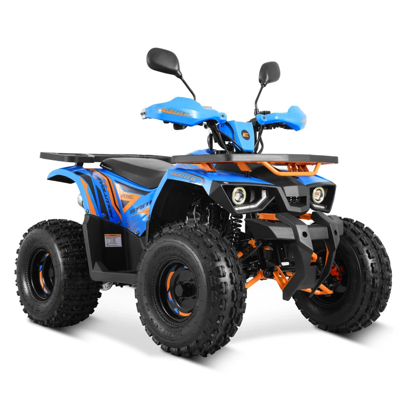 Tao Motor 2024 New EFI Electronic Fuel Injection ATV 125 Cheap Chinese Automatic with Reverse Chain Drive Farm ATV 125cc ATV