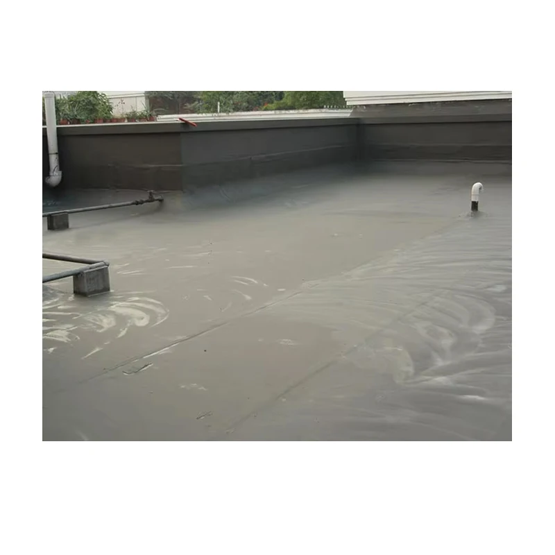 Permanent Active Cement Coatings Roof Waterproofing Paint Waterproof Material