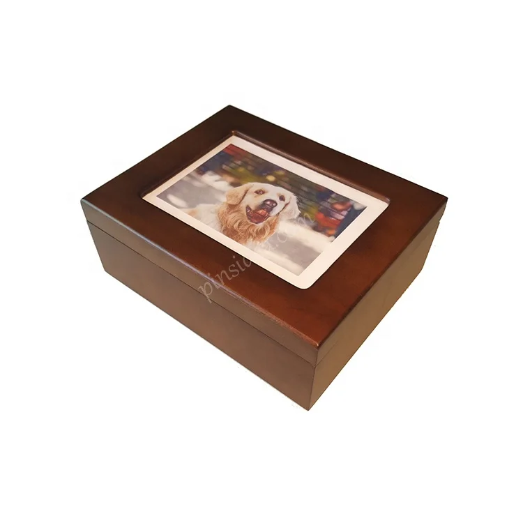 Cat and Dog Pet Cremation Urn