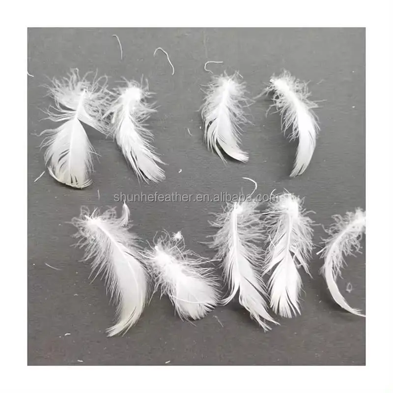 Factory Supplier Direct Sale of Down and Feather Fabric Filling Material