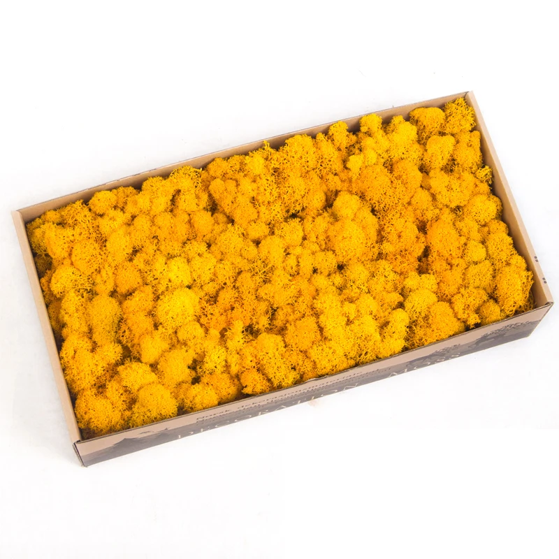 High Quality Preserved Reindeer Artificial Moss Decorative DIY Stabilized Moss For Wall Decoration