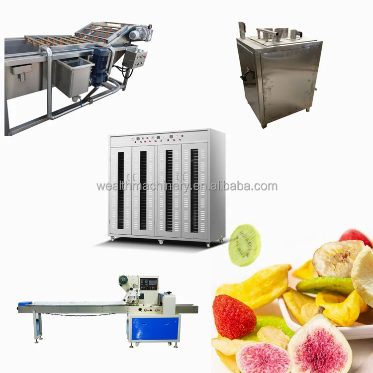 Dry fruit production line leaf persimmon Dragon fruit kiwi slice drying frozen vegetable dried fruit drying production line