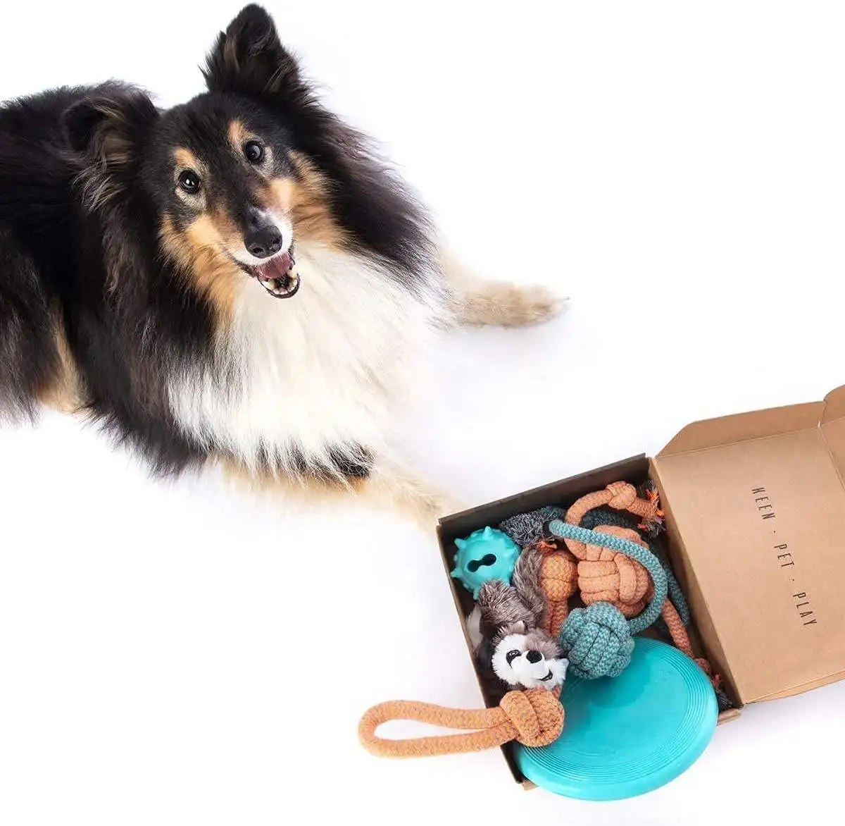 Custom Gift Box Packing Birthday Present Cotton Rope Dog Toys Set Puppy Teething Chew Toys for Boredom