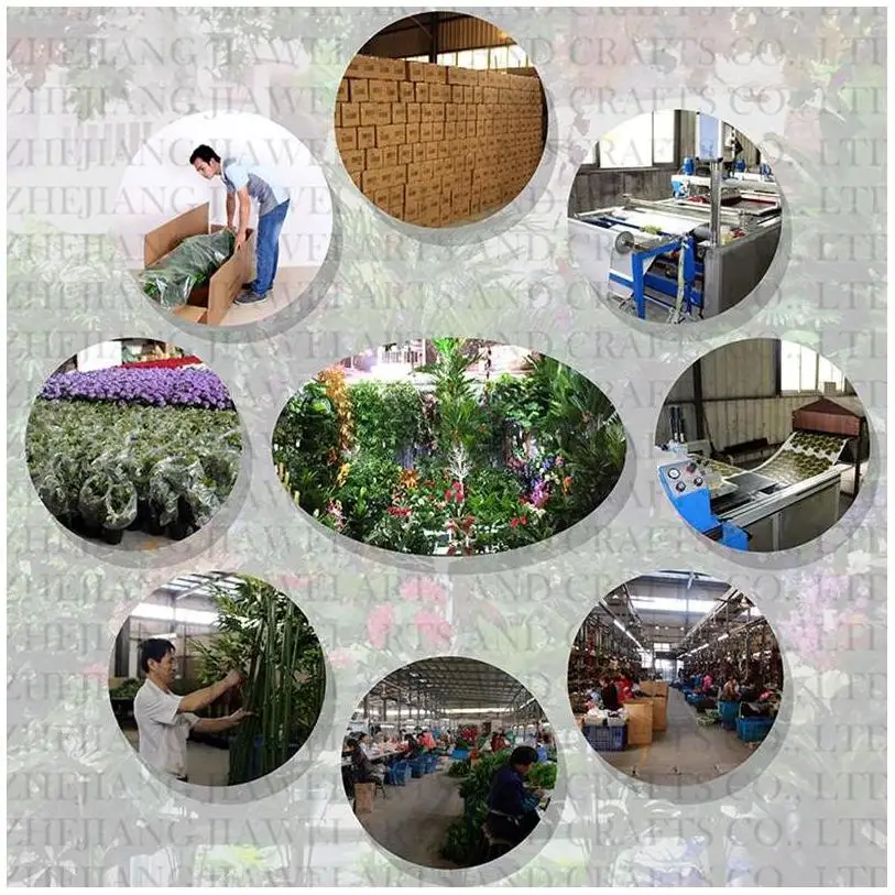 JIAWEI Artificial Plant Orchid Plant Wall White Roses Top Selling Bonsai Desktop Decoration Gift Artificial Plant