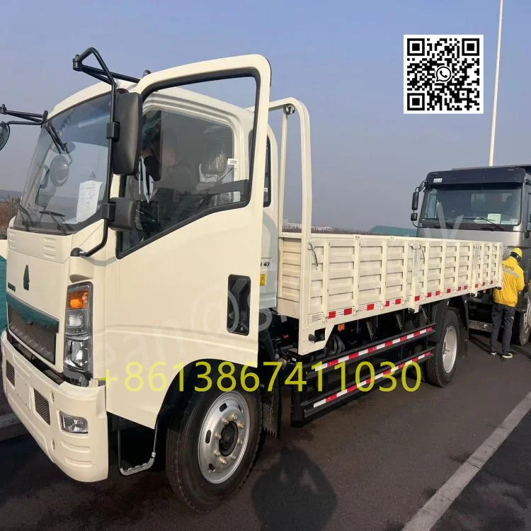CNHTC Sinotruk Homan 4x2 Light-Duty Cargo Truck 10 tons Ready Stock Brand New & Direct From Factory