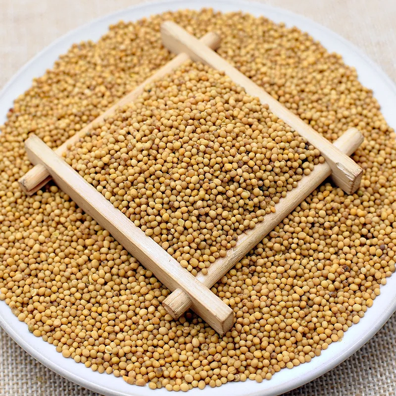 2022 the newest crop China spices supplier wholesale factory directory sell high quality yellow mustard seeds with low price.
