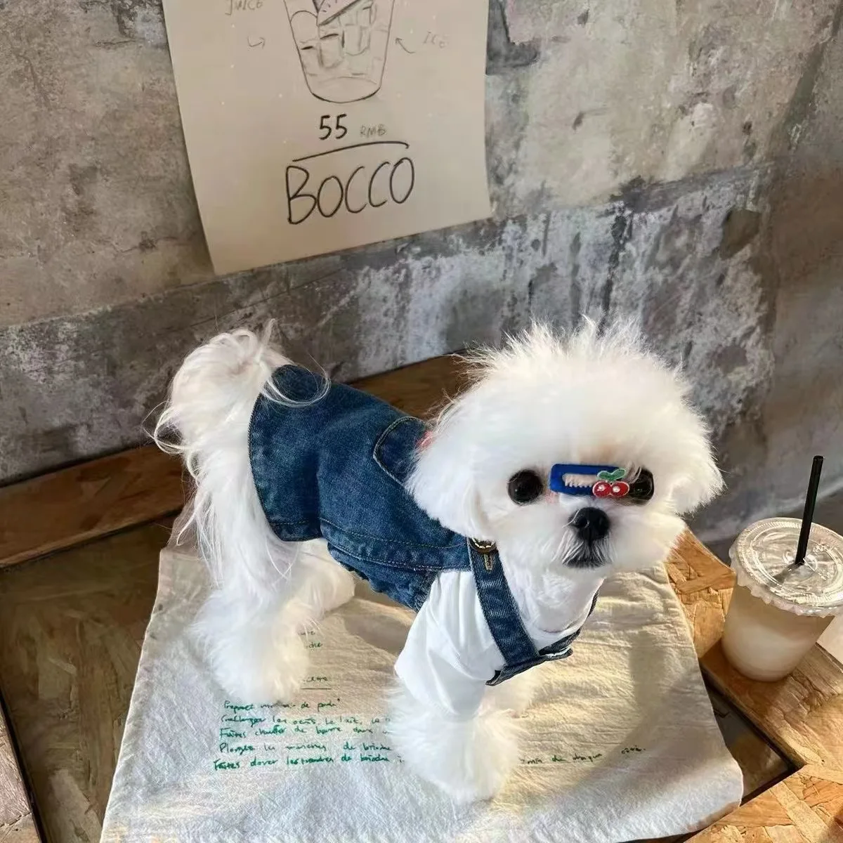 2024 New Arrival Pet Clothes Dog Spring Summer Clothes Denim Vest Jeans Dress Puppy Clothing