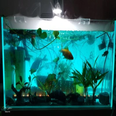 clear acrylic clear glass for marine fish tank aquarium underwater sea world acrylic