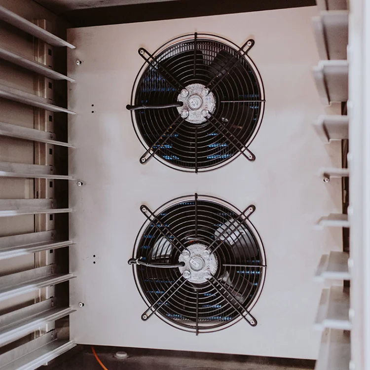 IQF Strawberry Quick Fast Freezing Machine 10 trays blast freezer For seafood fishery chicken and meat