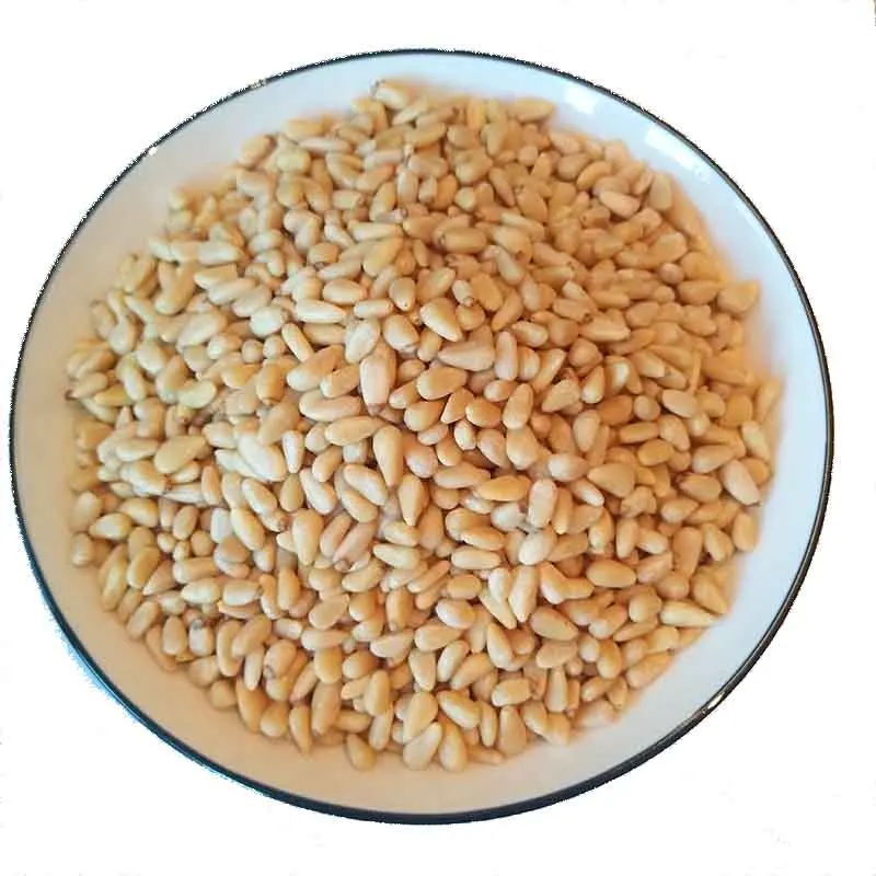 Pinenut suppliers wholesale 650 chinese red korean pine nut kernels