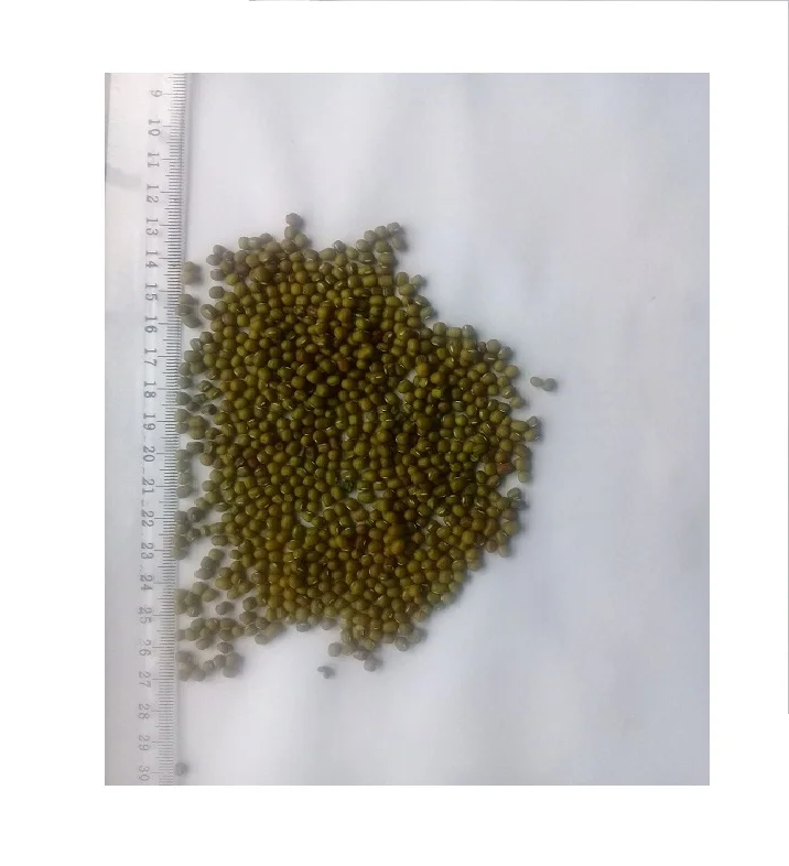 HOT SELLING HIGH QUALITY ETHIOPIAN GREEN MUNG BEAN FOR WHOLESALE