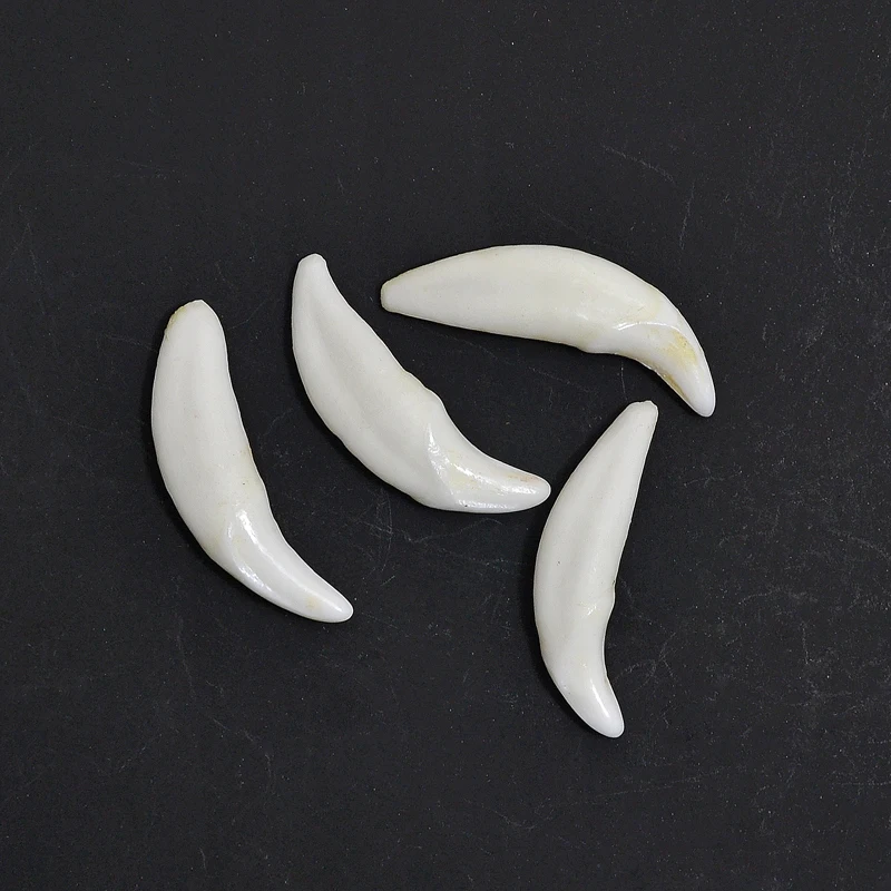 YZ002 Tibetan style Fake wolf bone beads Jewelry accessories natural DIY beads Unperforated Teeth beads for jewelry making