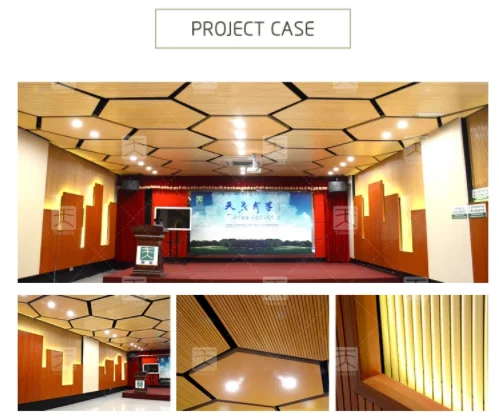 TianGe customizable white sound absorbing board price quality acoustic ceiling panel for Gym