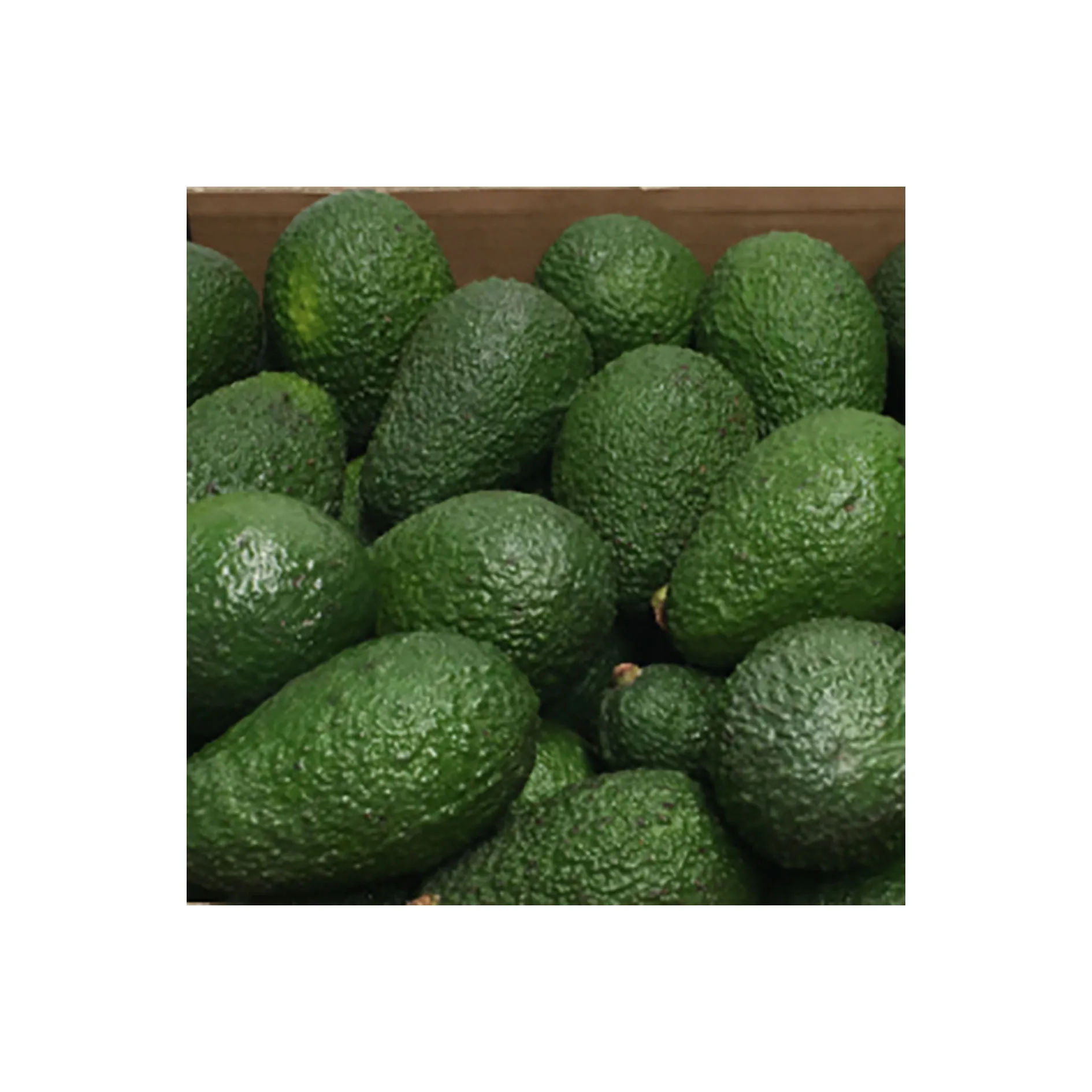 
Wholesale high quality fresh fruit healthy fruit raw hass avocado 