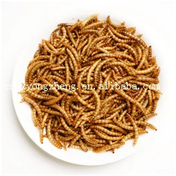 factory price top quality animal feed dried earthworm for fish feed