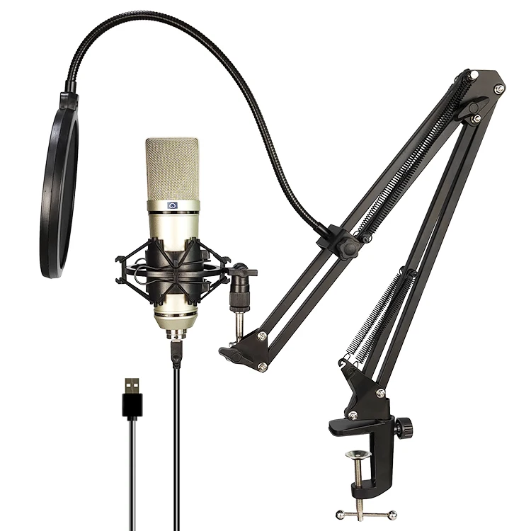 Dest Mount Microphnone Stand Ajustable Suspensiion Boom Arm for BM800 BMU800 U87 Mic Wholesale Factory Price
