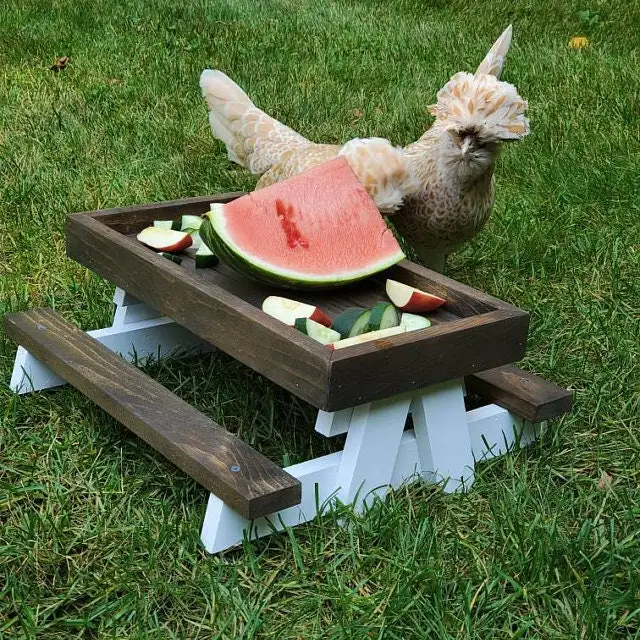 2024 New Chicken Coop Accessories Chicken Feeder Pet Feeder Mini Picnic Table Chicken Picnic Table for Outside Poultry