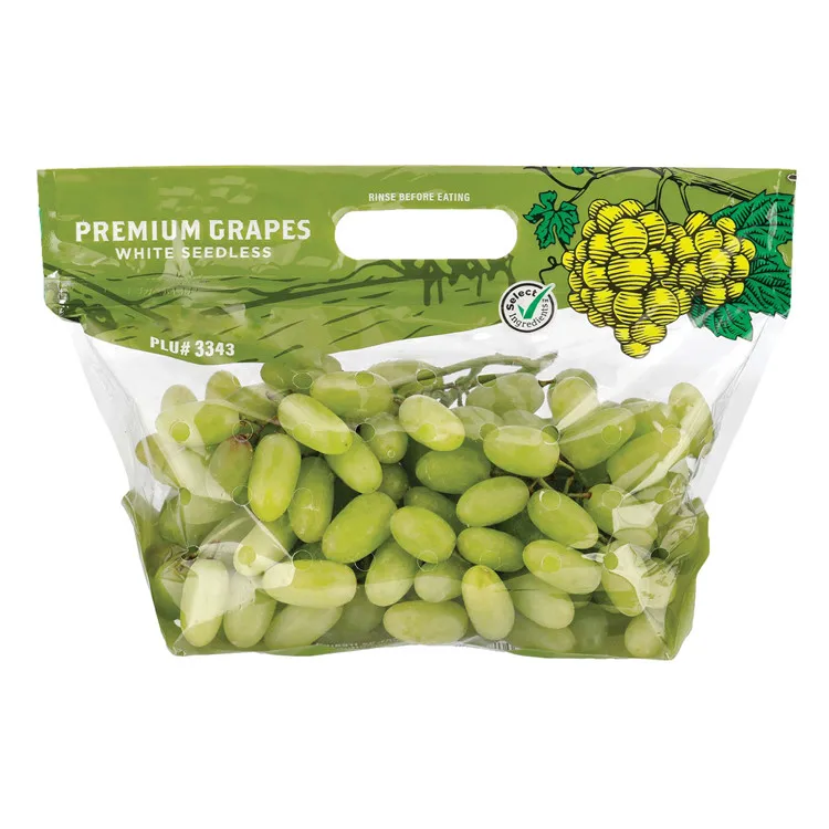Anti Fog Customized Zipper fruit protection bag plastic clear bag with holes for fruit packing
