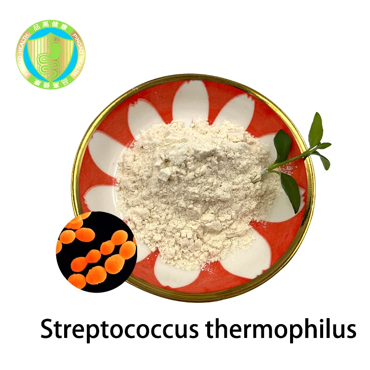 High Quality Food Grade ISO22000 HACCP Certificate  Probiotic Powder Streptococcus Thermophilus