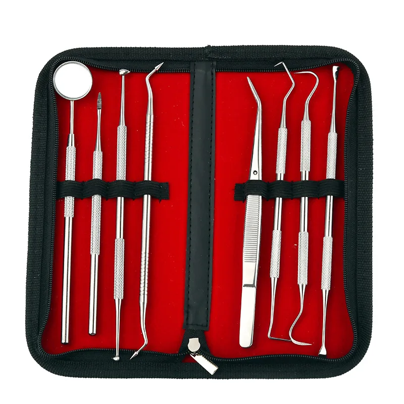 FOCSTAR 8pcs Tool Kit Scraper Tooth Pick Dental Scaler Mouth Mirror Instruments Hygienist Care Kit (BTC020)