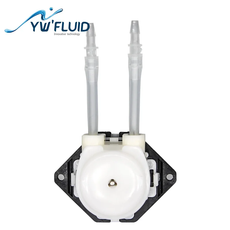 Electric power 12v DC motor mini water pump