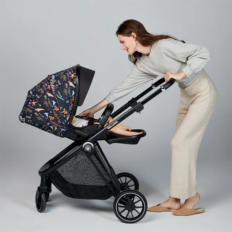 2021 New Design Stroller Traveling System Baby Stroller Pram With Aluminium Frame Wheels