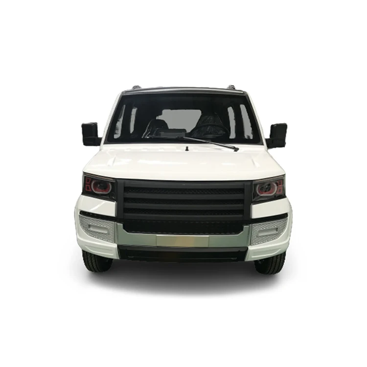 Durable And High Quality Fully Enclosed A Variety Of Models  Elderly Mobility New Energy Electric Vehicles Electric Car