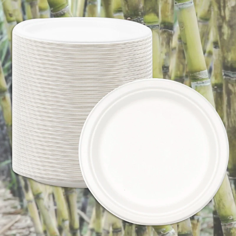 
Free Samples Eco friendly bagasse pulp compostable Sugarcane container disposable lunch tray biodegradable disposable plate 