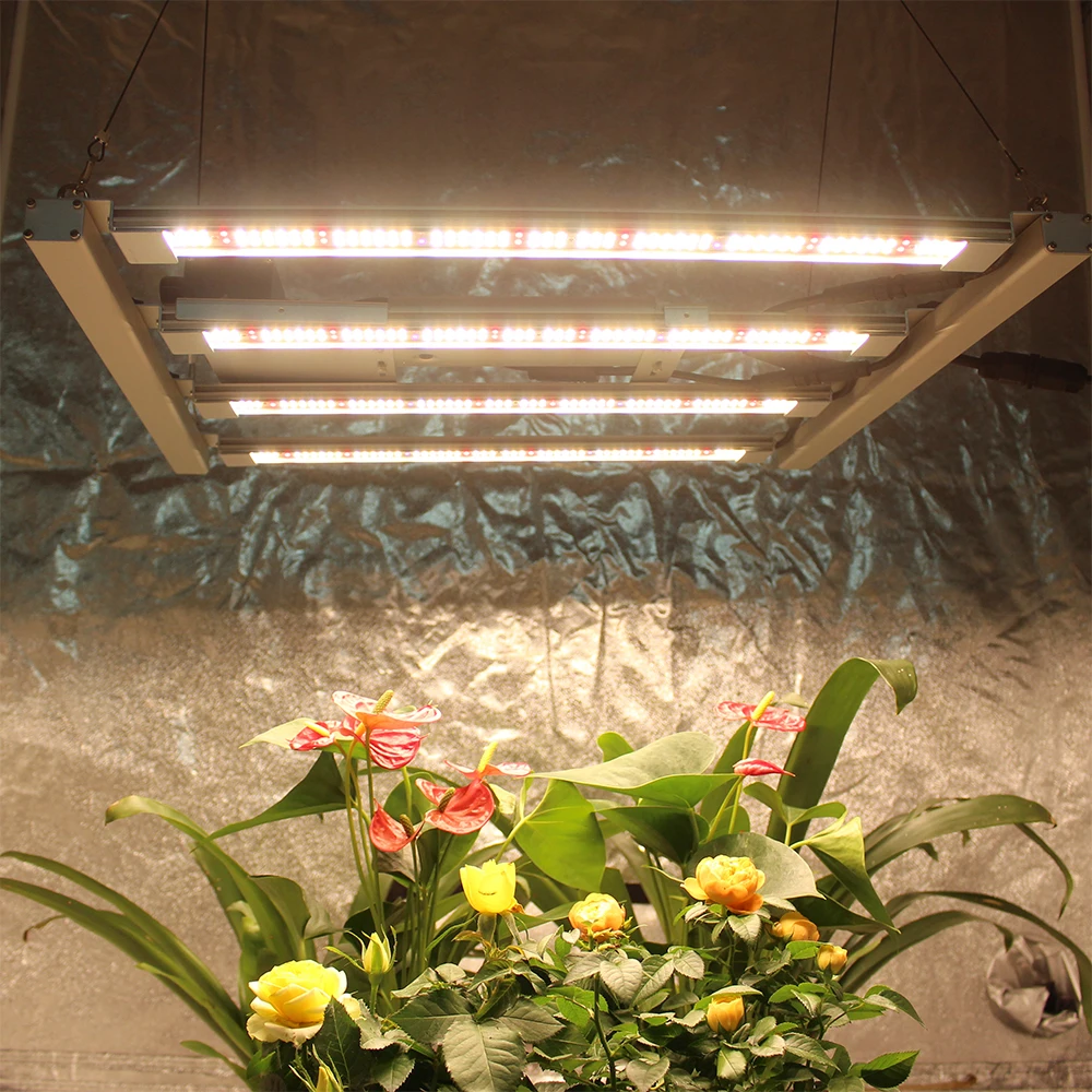 2022 newest Figolite Original Samsung LM301H EVO led grow light bars 240w full spectrum switch control