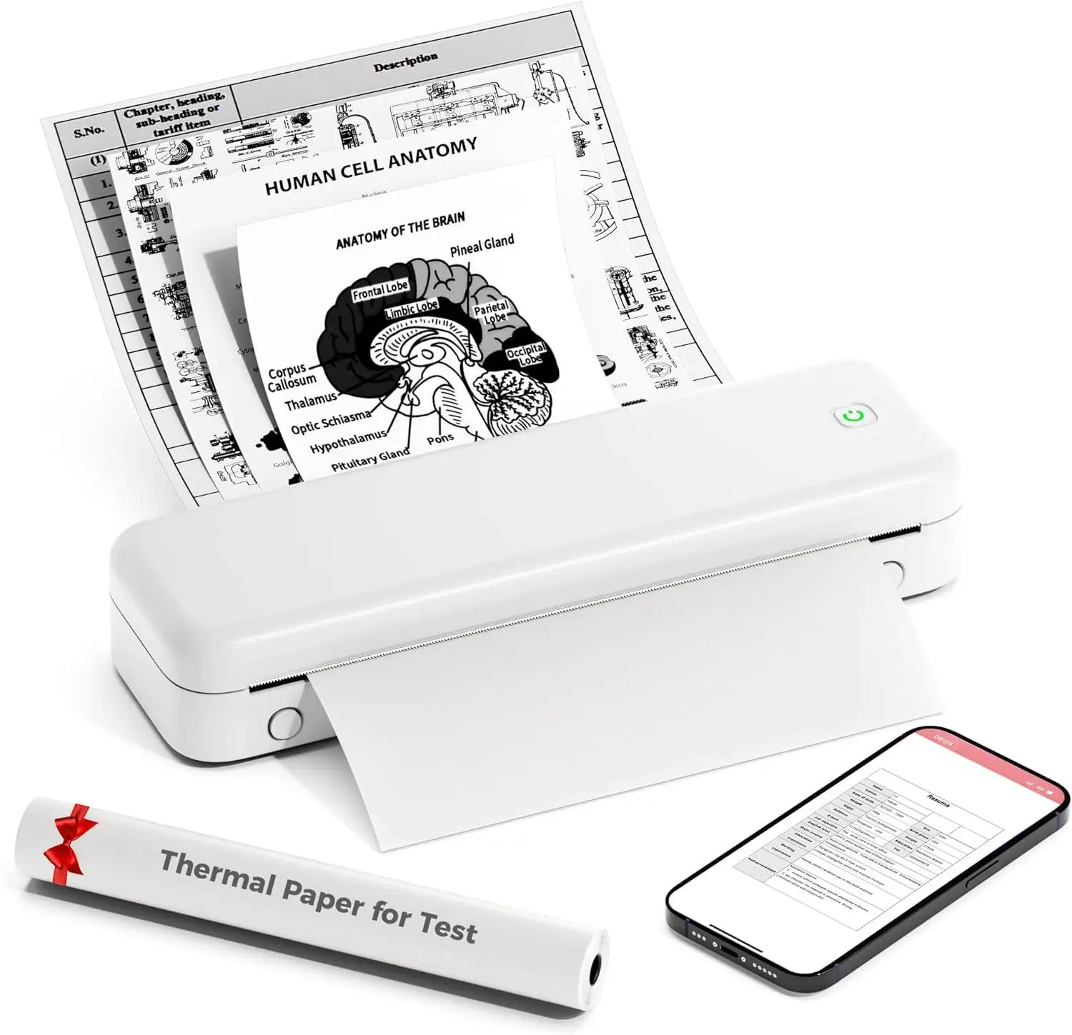 Phomemo Wireless A4 Printer 300dpi Portable Bluetooth Printer Text PDF Document Thermal Printing Maker for office/home/students