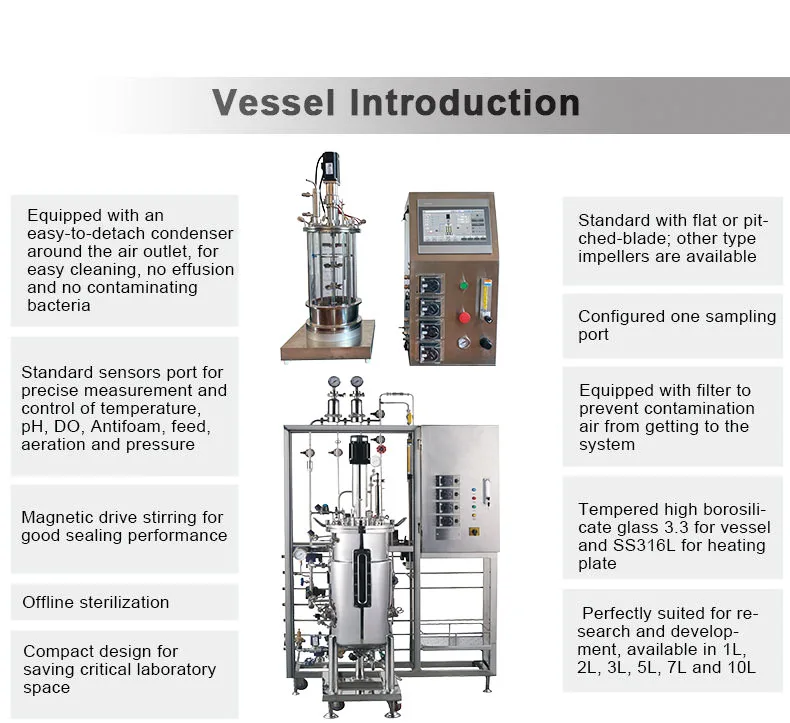 Ruiyuan Benchtop Small Glass Lab 5l 10l Microbiology Photo Plant Cell Bacterial Fermentor Fermenter Bioreactor