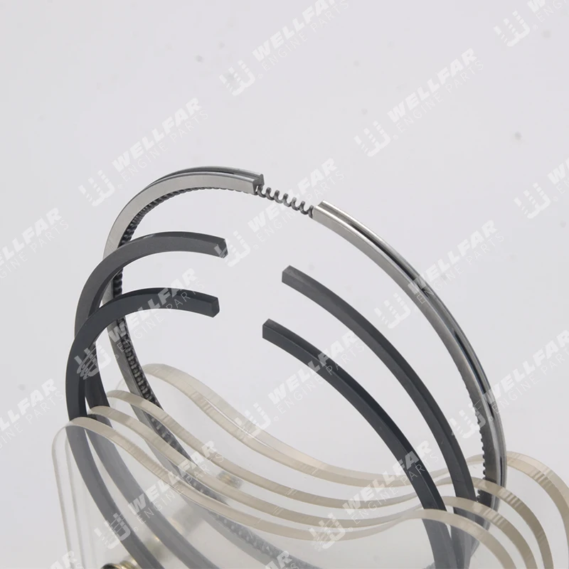 Piston ring use  1.9L Diesel F8Q Clio R19 80mm piston rings for Renault