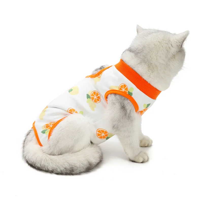 cat recovery suit (5).jpg