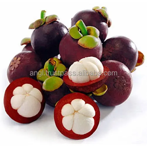 fresh-mangosteen-500x500.jpg