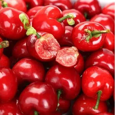 Farm Natural Fresh Cherry Fruit 2024 Cheap Price High-end Delicious from China