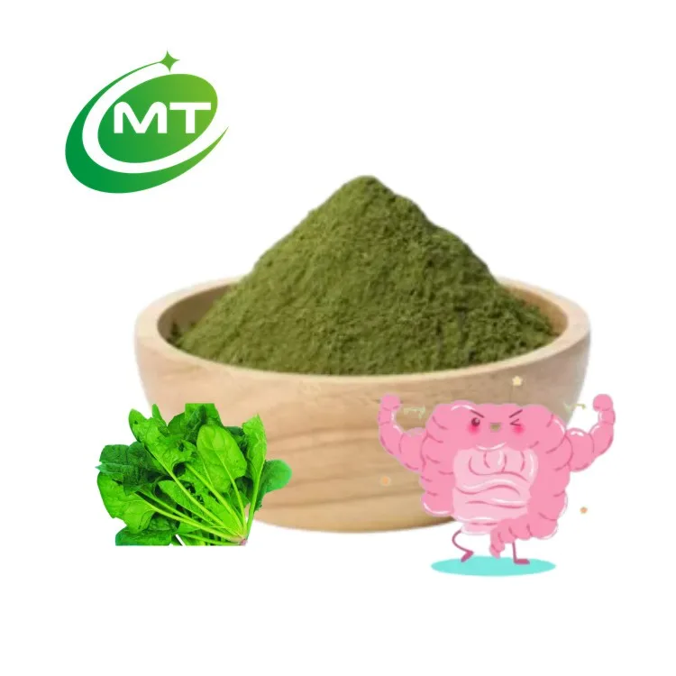 High quality Good price China Factory Supply High Grade Free sample Cheap Spinach Extract