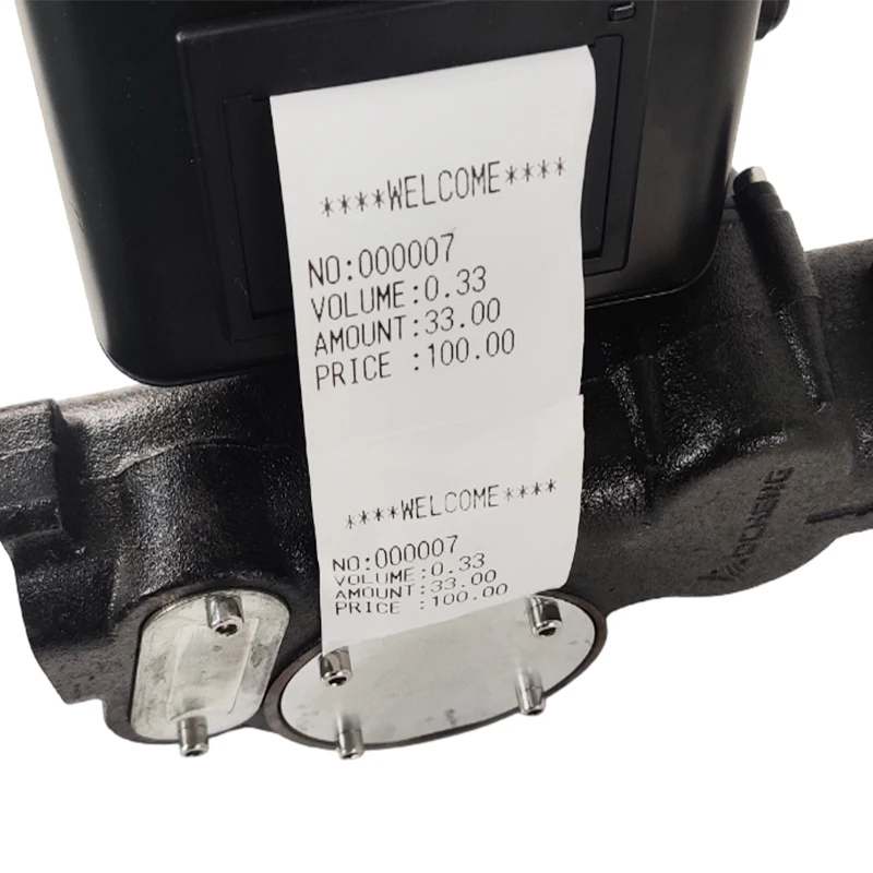 Portable 60LPM AC220V Large Flow Self Priming Electric Preset Diesel Fuel Transfer Pump with Receipt Printer