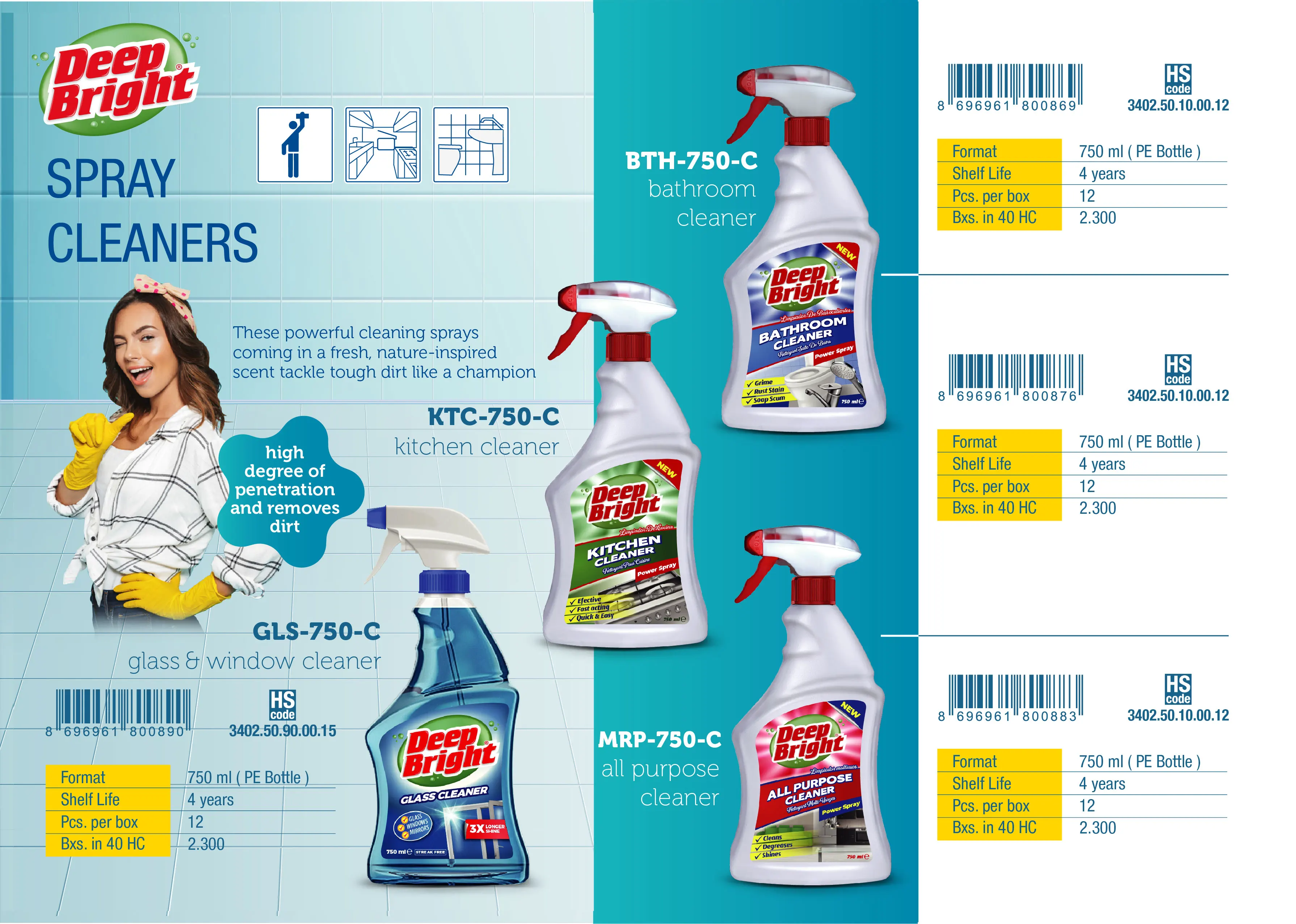 Window Glass Cleaner 750 ml Turkey OEM