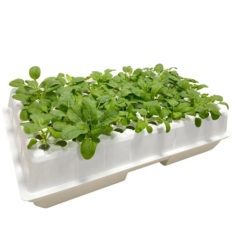 Professional ABS Plastic Factory Price 128 holes growing tray 80 holes clone tray with cover collar water pump for greenhouse