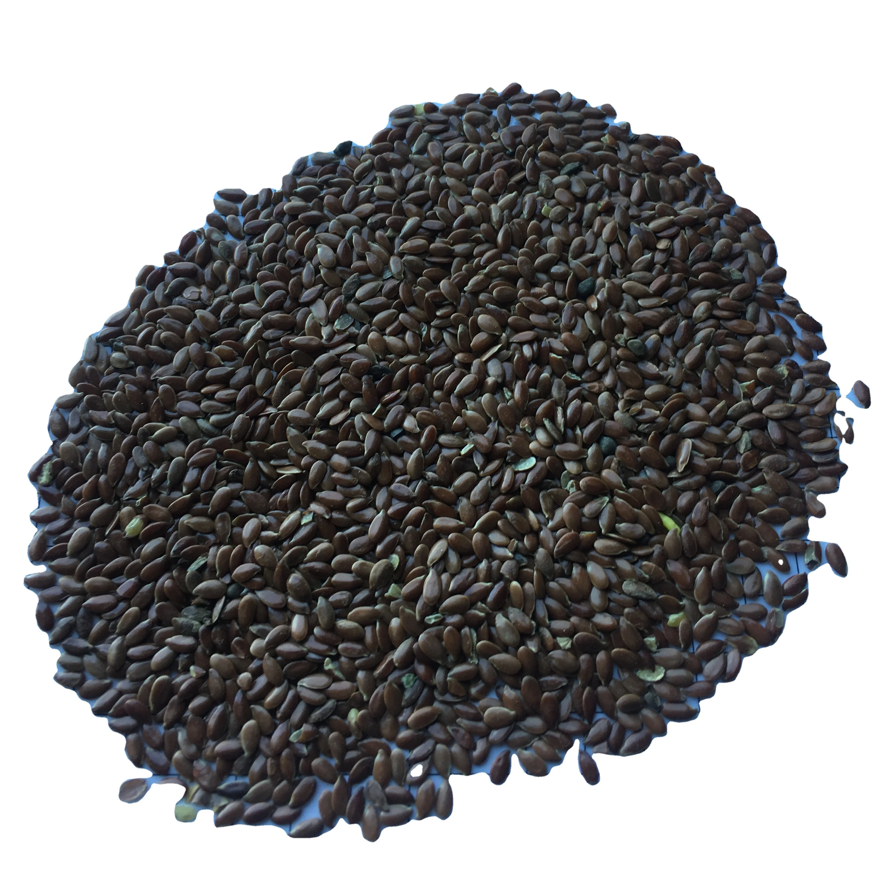 flax seeds Linum usitatissimum good quality high oil content natural color