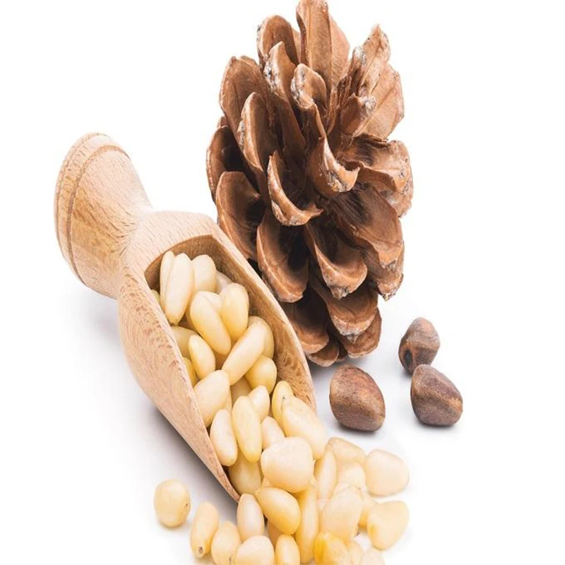 Wholesale Cheap Bulk Brazilian Healthy  Food Grade Available Long Light Yellow Pine Nuts Kernels For Sale