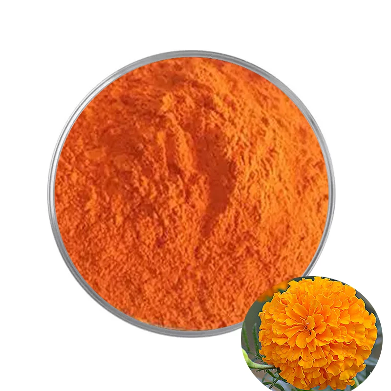 Wholesale Price Plant Flowers Phytoxanthin 10% Zeaxanthin Marigold Extract Lutein For Eye Health
